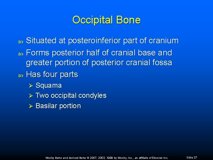 Occipital Bone Situated at posteroinferior part of cranium Forms posterior half of cranial base