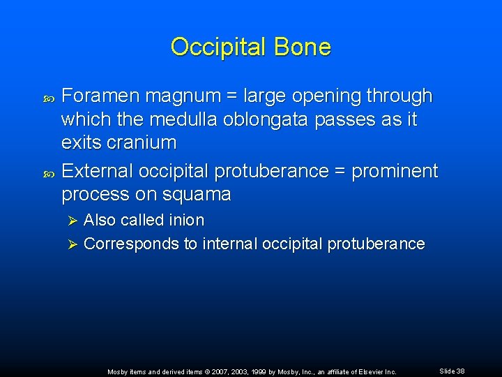 Occipital Bone Foramen magnum = large opening through which the medulla oblongata passes as
