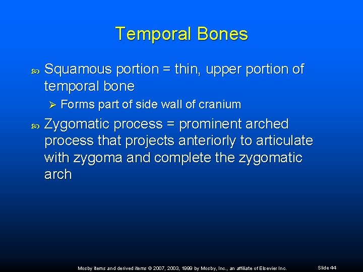 Temporal Bones Squamous portion = thin, upper portion of temporal bone Ø Forms part