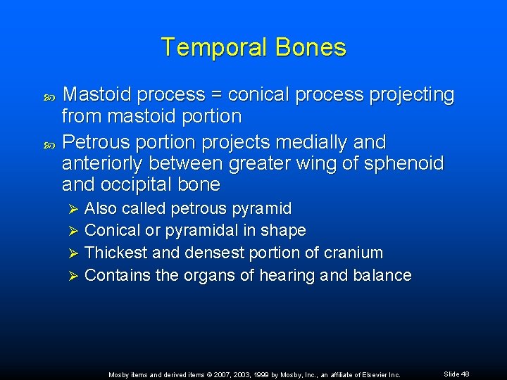 Temporal Bones Mastoid process = conical process projecting from mastoid portion Petrous portion projects