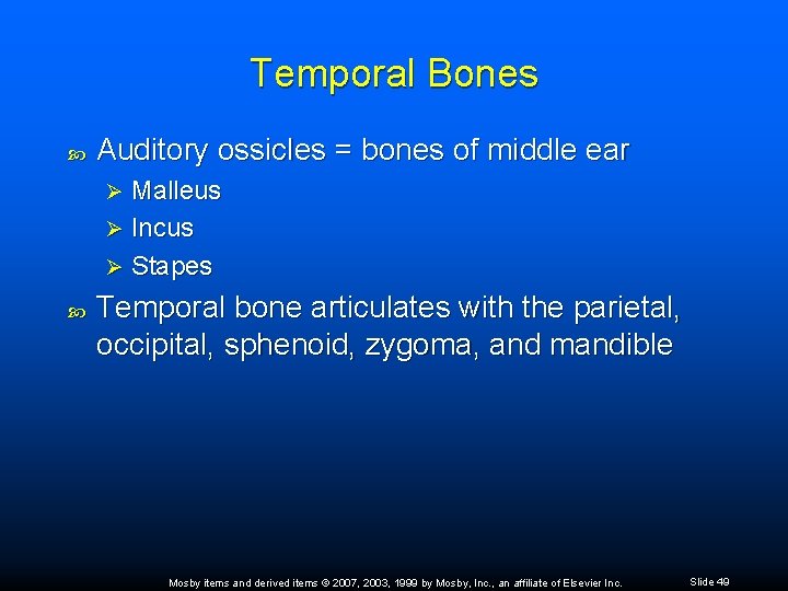 Temporal Bones Auditory ossicles = bones of middle ear Malleus Ø Incus Ø Stapes