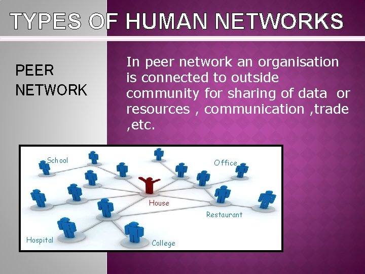 TYPES OF HUMAN NETWORKS PEER NETWORK In peer network an organisation is connected to