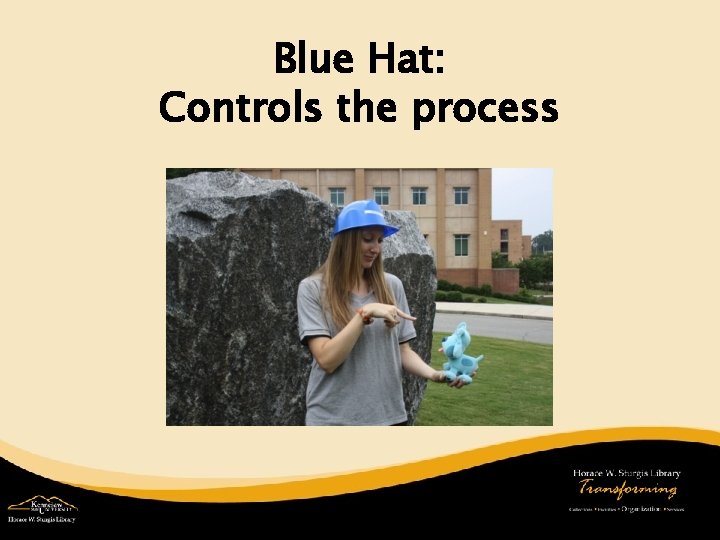 Blue Hat: Controls the process 