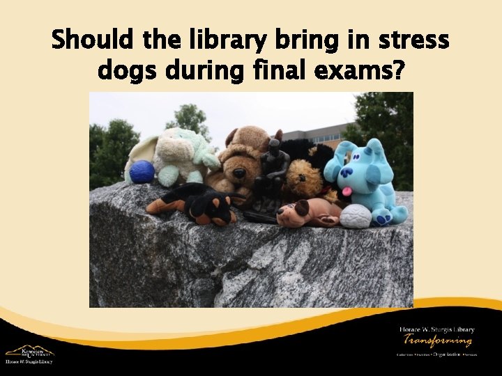 Should the library bring in stress dogs during final exams? 