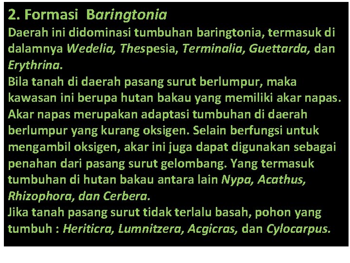 2. Formasi Baringtonia Daerah ini didominasi tumbuhan baringtonia, termasuk di dalamnya Wedelia, Thespesia, Terminalia,