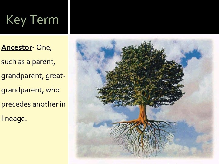 Key Term Ancestor- One, such as a parent, grandparent, greatgrandparent, who precedes another in