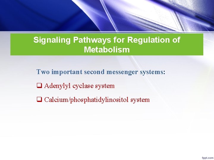 Signaling Pathways for Regulation of Metabolism Two important second messenger systems: q Adenylyl cyclase