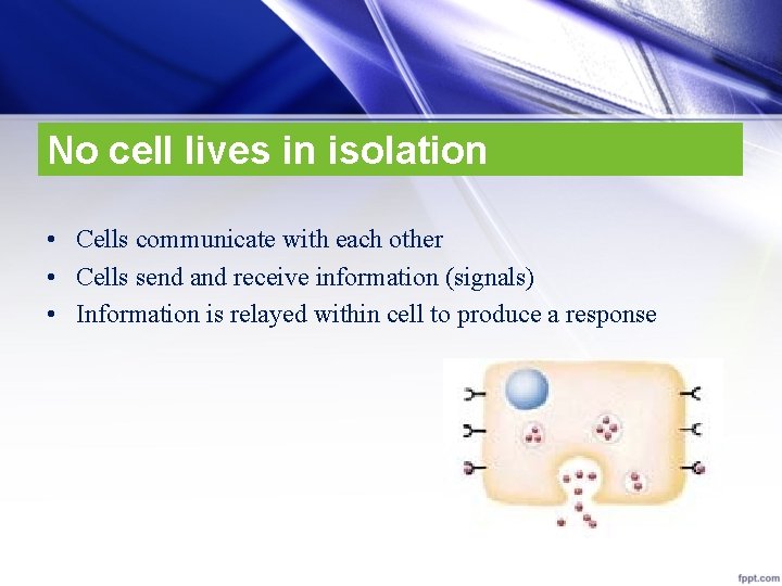 No cell lives in isolation • Cells communicate with each other • Cells send