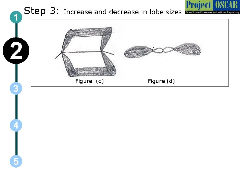 1 Step 3: Increase and decrease in lobe sizes 2 3 4 5 Figure