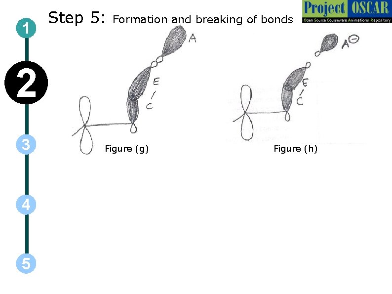 1 Step 5: Formation and breaking of bonds 2 3 4 5 Figure (g)