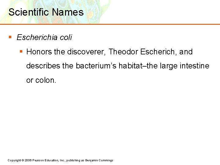 Scientific Names § Escherichia coli § Honors the discoverer, Theodor Escherich, and describes the