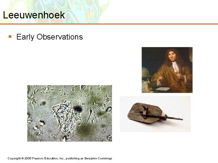 Leeuwenhoek § Early Observations Copyright © 2006 Pearson Education, Inc. , publishing as Benjamin