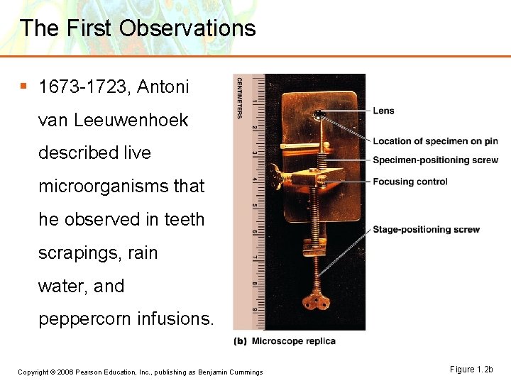 The First Observations § 1673 -1723, Antoni van Leeuwenhoek described live microorganisms that he