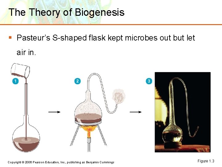 The Theory of Biogenesis § Pasteur’s S-shaped flask kept microbes out but let air