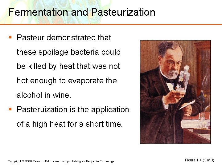 Fermentation and Pasteurization § Pasteur demonstrated that these spoilage bacteria could be killed by