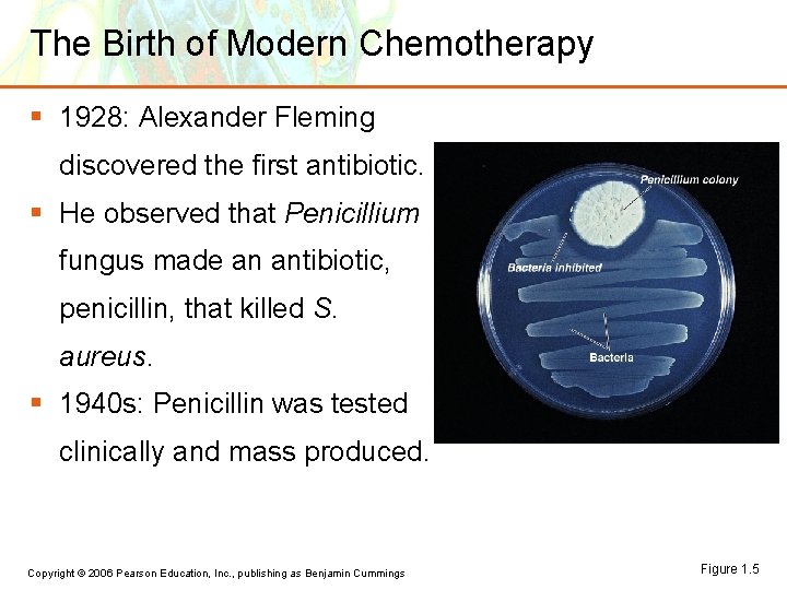 The Birth of Modern Chemotherapy § 1928: Alexander Fleming discovered the first antibiotic. §