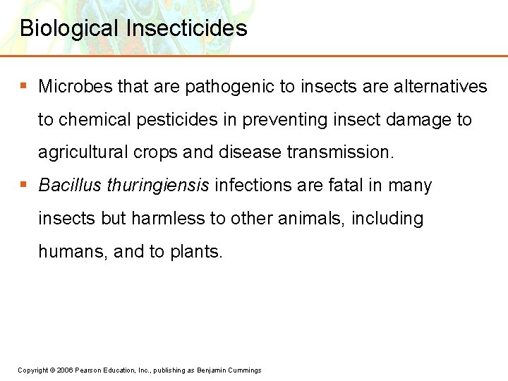 Biological Insecticides § Microbes that are pathogenic to insects are alternatives to chemical pesticides