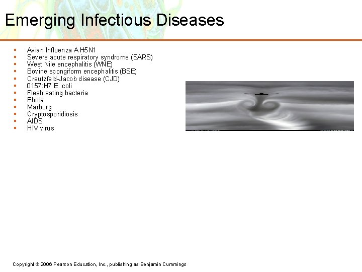 Emerging Infectious Diseases § § § Avian Influenza A H 5 N 1 Severe