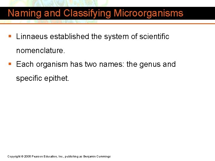 Naming and Classifying Microorganisms § Linnaeus established the system of scientific nomenclature. § Each