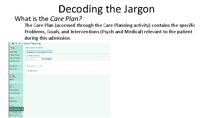 Decoding the Jargon What is the Care Plan? The Care Plan (accessed through the