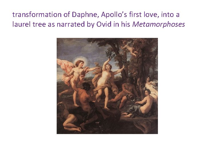 transformation of Daphne, Apollo’s first love, into a laurel tree as narrated by Ovid