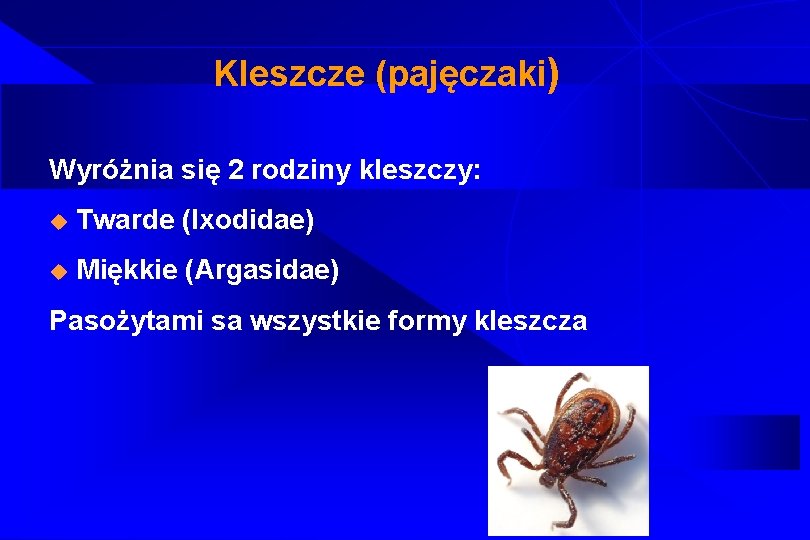 Kleszcze (pajęczaki) Wyróżnia się 2 rodziny kleszczy: u Twarde (Ixodidae) u Miękkie (Argasidae) Pasożytami