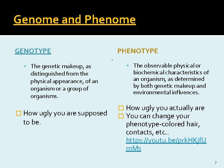 Genome and Phenome GENOTYPE The genetic makeup, as distinguished from the physical appearance, of