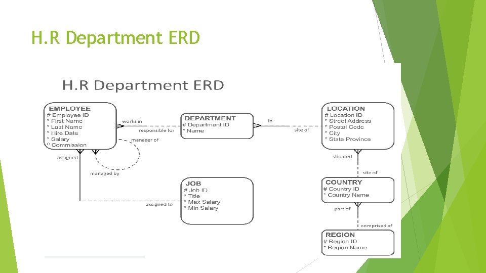H. R Department ERD 