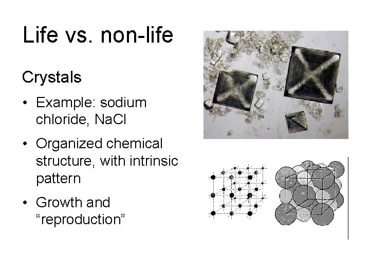 Life vs. non-life Crystals • Example: sodium chloride, Na. Cl • Organized chemical structure,