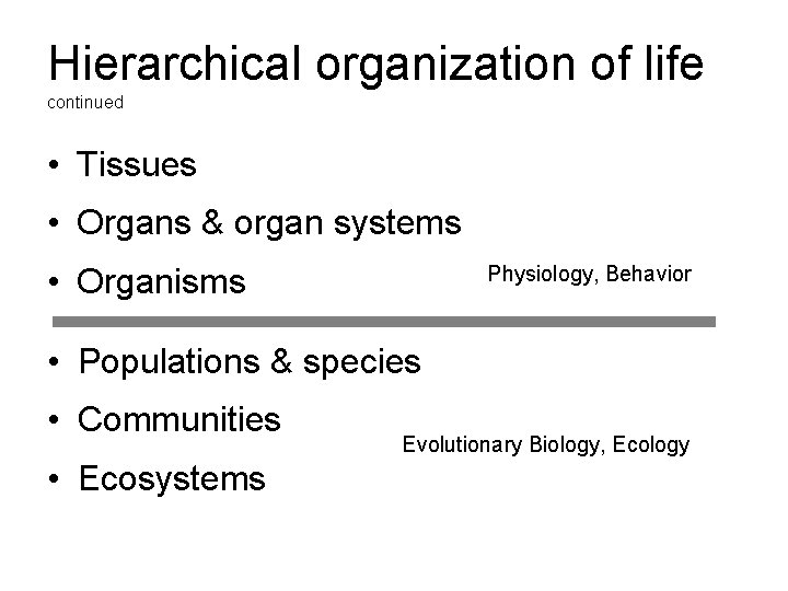 Hierarchical organization of life continued • Tissues • Organs & organ systems • Organisms