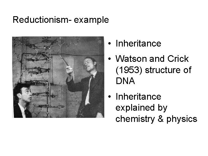 Reductionism- example • Inheritance • Watson and Crick (1953) structure of DNA • Inheritance