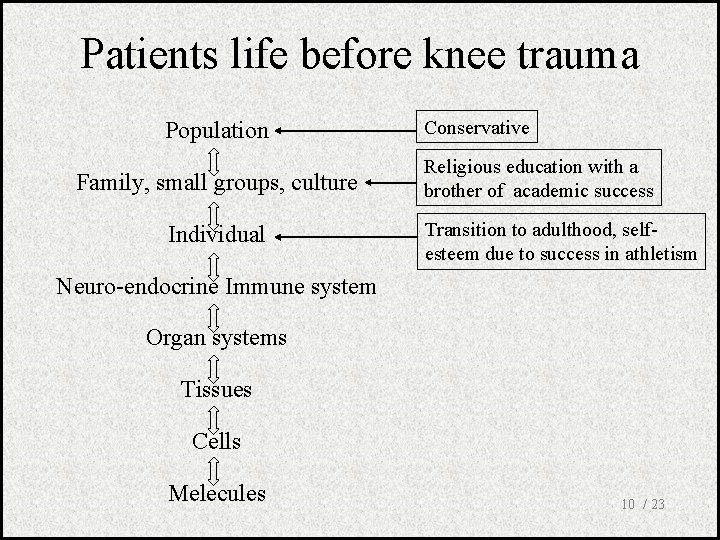 Patients life before knee trauma Population Family, small groups, culture Individual Conservative Religious education