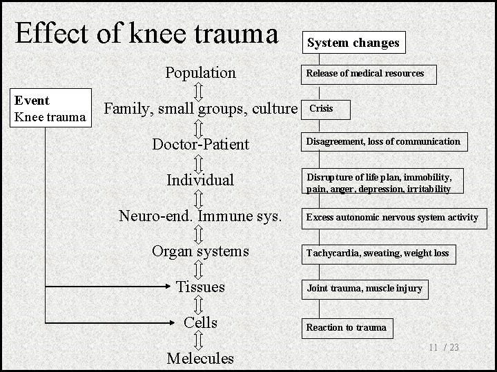 Effect of knee trauma Population Event Knee trauma Family, small groups, culture Doctor-Patient Individual