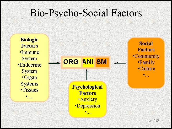 Bio-Psycho-Social Factors Biologic Factors • Immune System • Endocrine System • Organ Systems •
