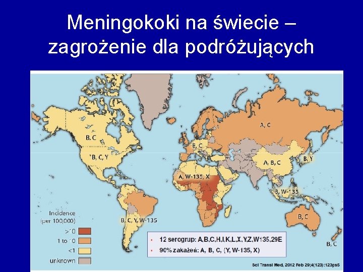 Meningokoki na świecie – zagrożenie dla podróżujących 