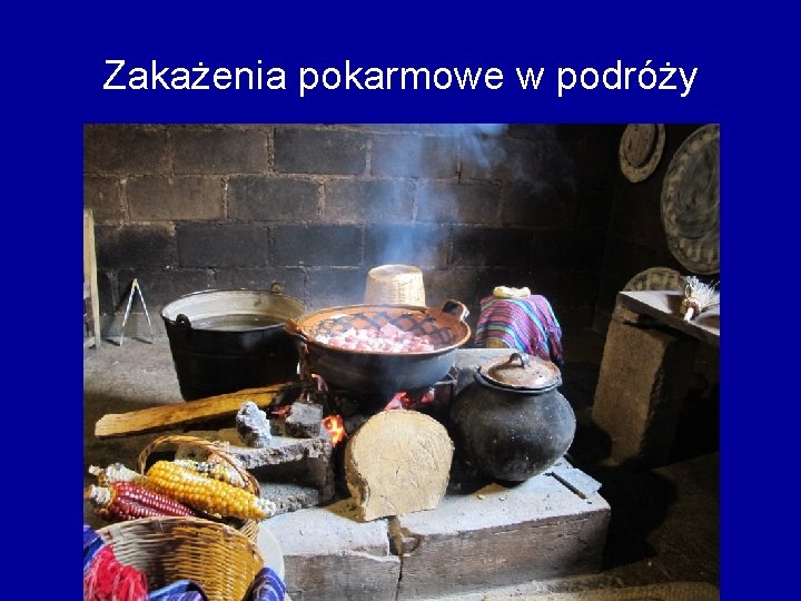 Zakażenia pokarmowe w podróży 