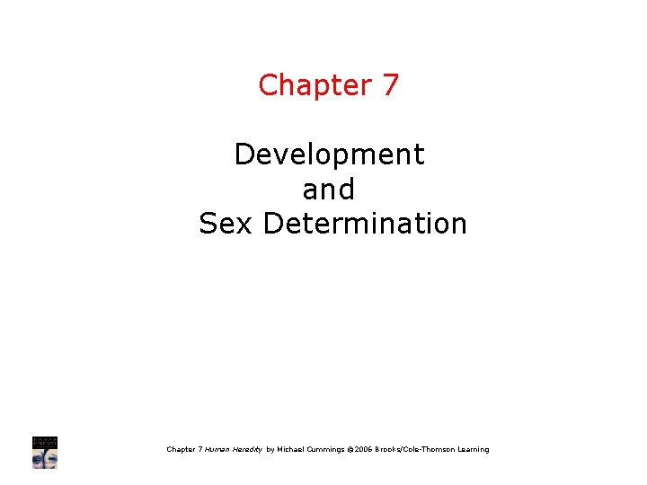 Chapter 7 Development And Sex Determination Chapter 7