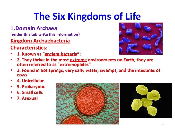 The Six Kingdoms of Life 1. Domain Archaea (under this tab write this information)