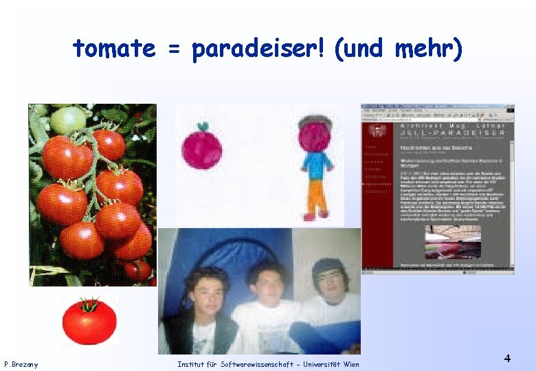tomate = paradeiser! (und mehr) P. Brezany Institut für Softwarewissenschaft - Universität Wien 4