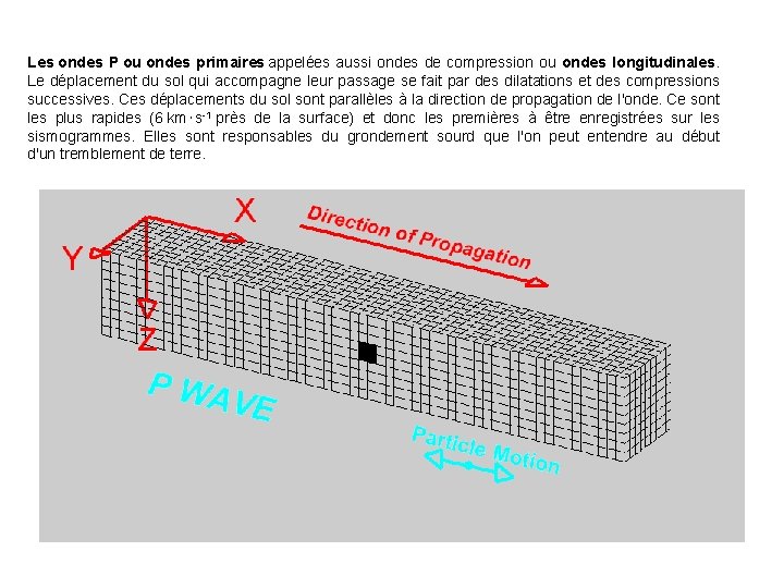 Les ondes P ou ondes primaires appelées aussi ondes de compression ou ondes longitudinales.