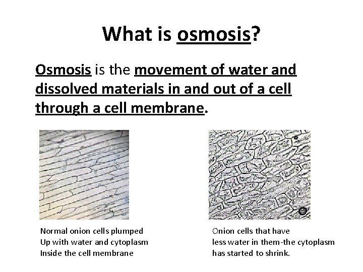 What is osmosis? Osmosis is the movement of water and dissolved materials in and