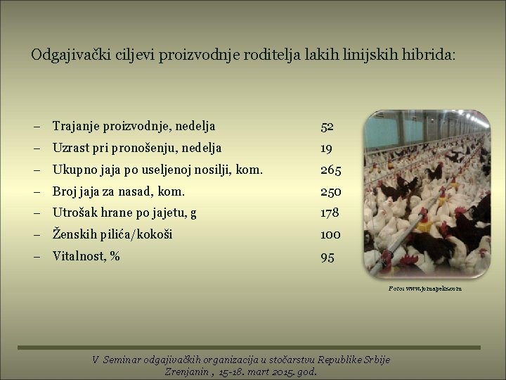 Odgajivački ciljevi proizvodnje roditelja lakih linijskih hibrida: Trajanje proizvodnje, nedelja 52 Uzrast pri pronošenju,