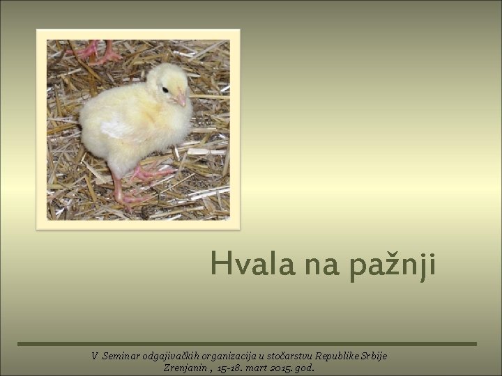 Hvala na pažnji V Seminar odgajivačkih organizacija u stočarstvu Republike Srbije Zrenjanin , 15