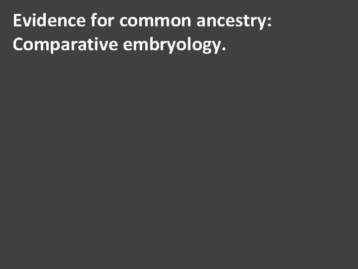 Evidence for common ancestry: Comparative embryology. 