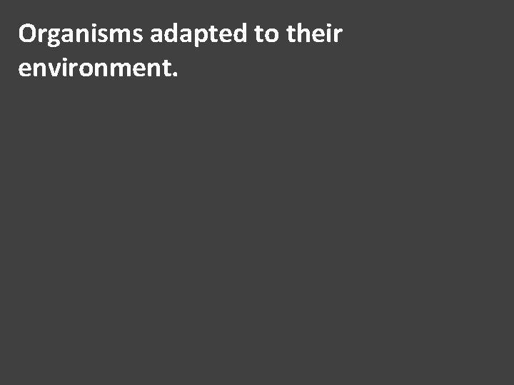 Organisms adapted to their environment. 