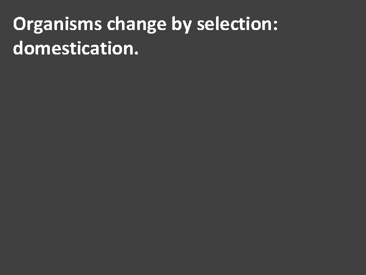 Organisms change by selection: domestication. 