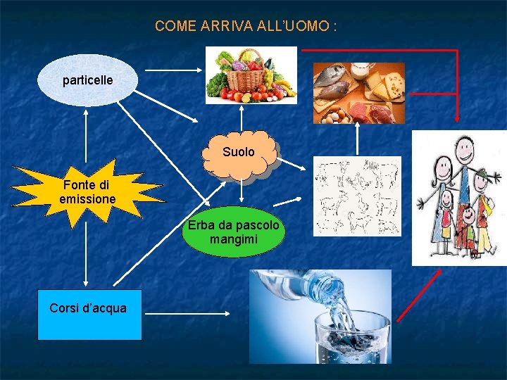 COME ARRIVA ALL’UOMO : particelle Suolo Fonte di emissione Erba da pascolo mangimi Corsi