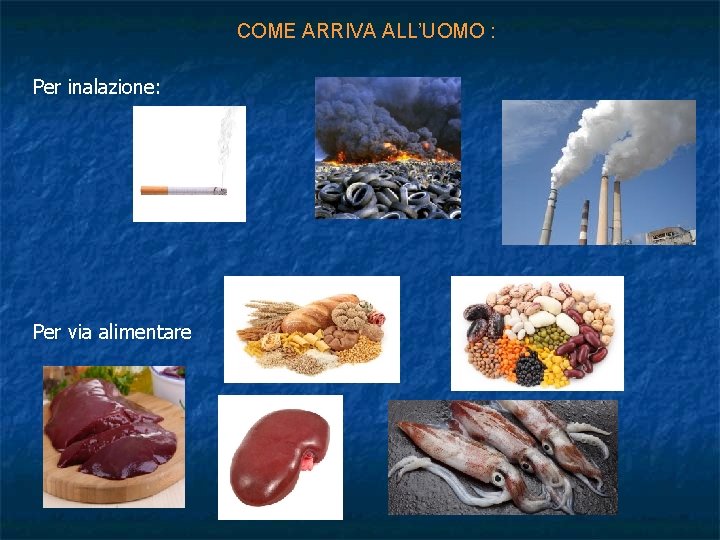 COME ARRIVA ALL’UOMO : Per inalazione: Per via alimentare 