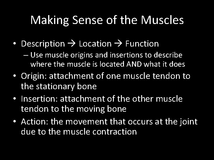 Making Sense of the Muscles • Description Location Function – Use muscle origins and
