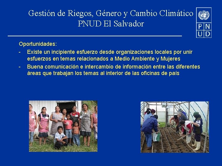 Gestión de Riegos, Género y Cambio Climático PNUD El Salvador Oportunidades: - Existe un